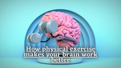 How physical exercise makes your brain work better